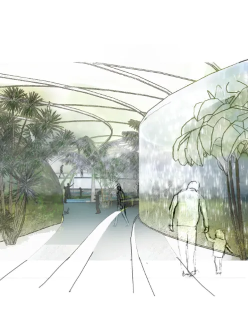 image-3bf448368695c6e25dcb28b2848b1457913d7154-1080x1080-png